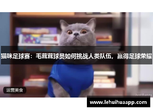 猫咪足球赛：毛茸茸球员如何挑战人类队伍，赢得足球荣耀