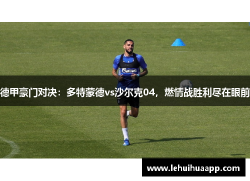 德甲豪门对决：多特蒙德vs沙尔克04，燃情战胜利尽在眼前